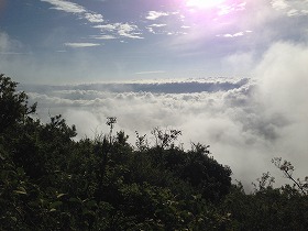 ンゴロンゴロの雲海