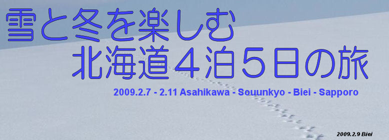 雪と冬を楽しむ北海道４泊５日の旅