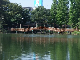 洗足池池月橋